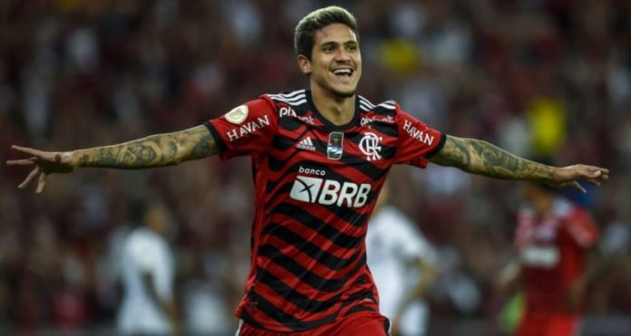 Pedro-Flamengo