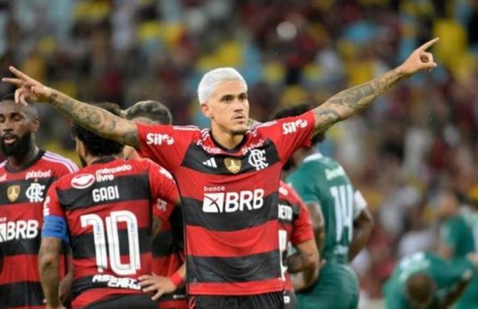 Pedro Flamengo