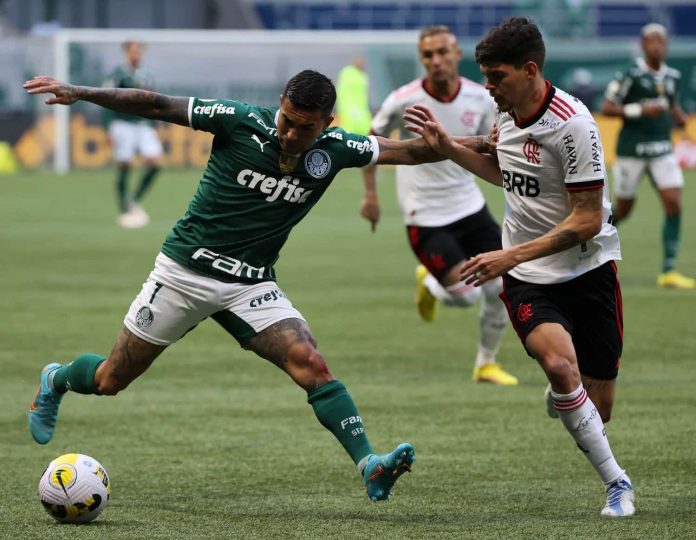 Vantagem do Palmeiras! Flamengo busca melhorar retrospecto contra o clube paulista; veja números