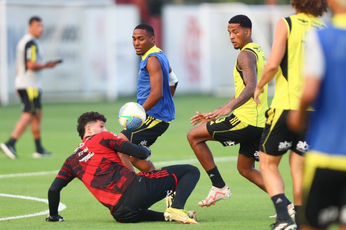 Flamengo se reapresenta e inicia preparação para enfrentar o Amazonas